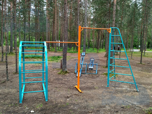 Турник комбинированный